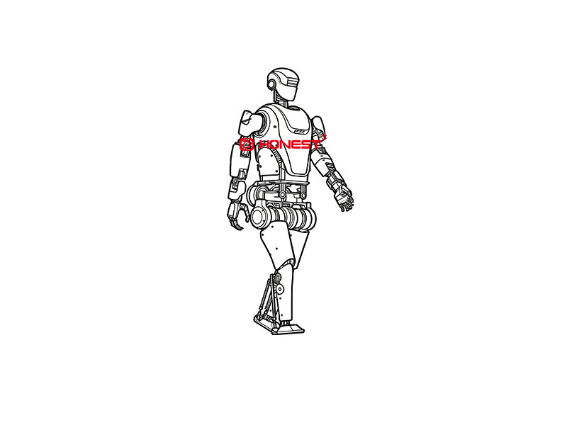 Turnkey Humanoid Robot Final Assembly Line