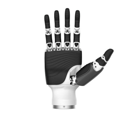 dexterous hands.png dexterous hands.png